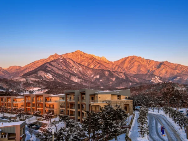 Bangalore to Shimla, Kullu, Manali Tour Package